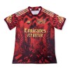 Maillot de Supporter ARSENAL 2023-24 Special Edition Pour Homme